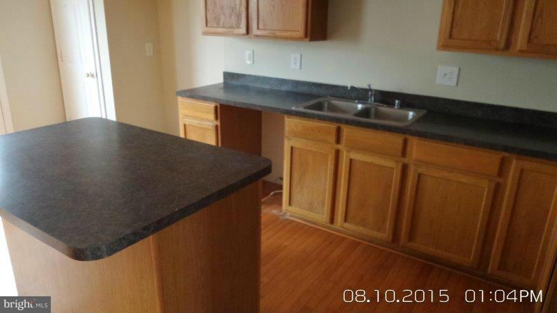 892 Lowe Road Baltimore, MD 21220 - Photo 6 of 19 a close view of sink and cabinets