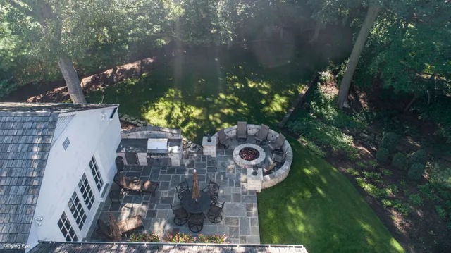 a view of a garden with plants