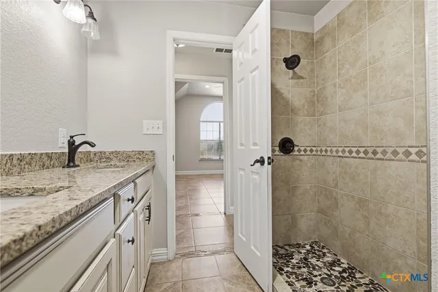 a bathroom with a granite countertop sink a shower and a mirror
