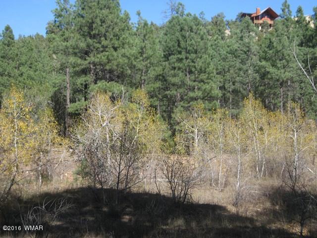 3313 Black Canyon Road Heber, AZ 85928 - Photo 2 of 10