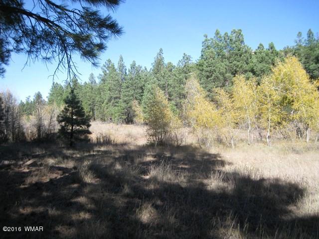 3313 Black Canyon Road Heber, AZ 85928 - Photo 3 of 10