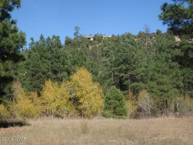 3313 Black Canyon Road Heber, AZ 85928 - Photo 4 of 10