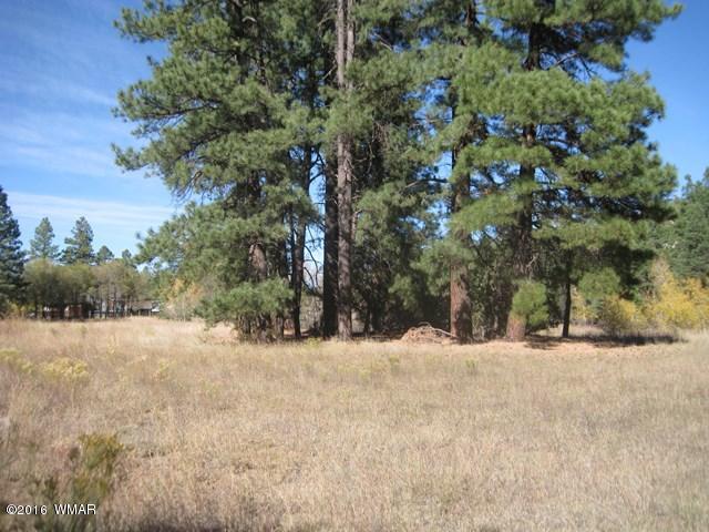 3313 Black Canyon Road Heber, AZ 85928 - Photo 5 of 10