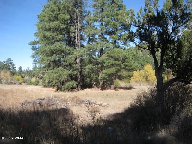 3313 Black Canyon Road Heber, AZ 85928 - Photo 6 of 10