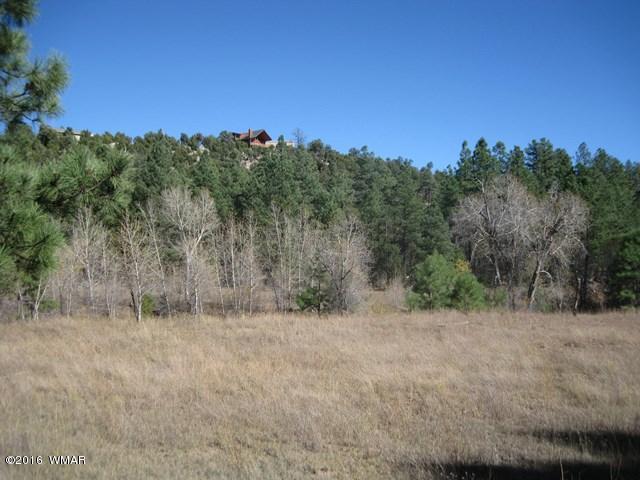 3313 Black Canyon Road Heber, AZ 85928 - Photo 7 of 10