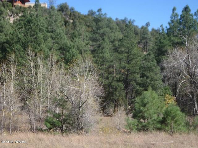 3313 Black Canyon Road Heber, AZ 85928 - Photo 8 of 10