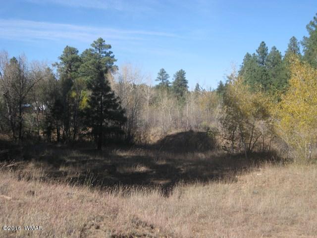 3313 Black Canyon Road Heber, AZ 85928 - Photo 9 of 10