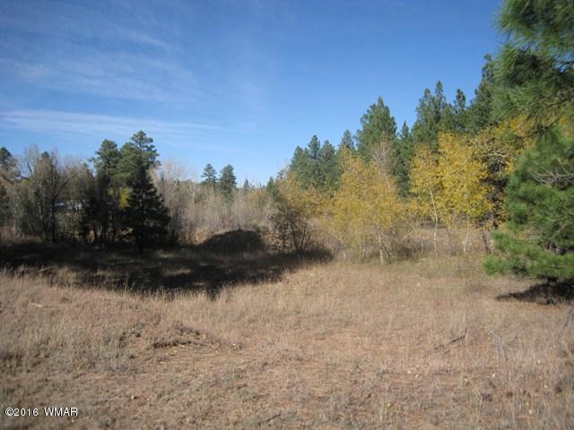 3313 Black Canyon Road Heber, AZ 85928 - Photo 10 of 10