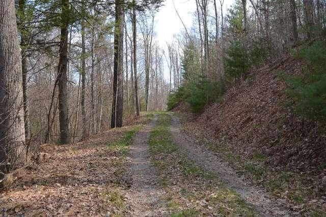 204 Brush Road Lewisburg, WV 24901 - Photo 14 of 60 Gallery Image 14