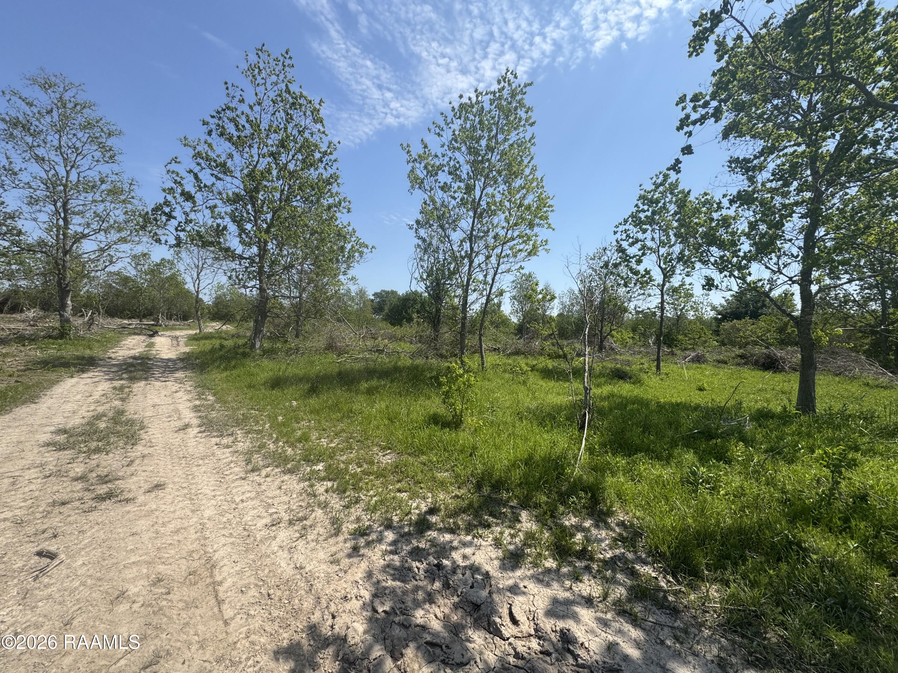 9712 Romules Road Abbeville, LA 70510 - Photo 4 of 7 3