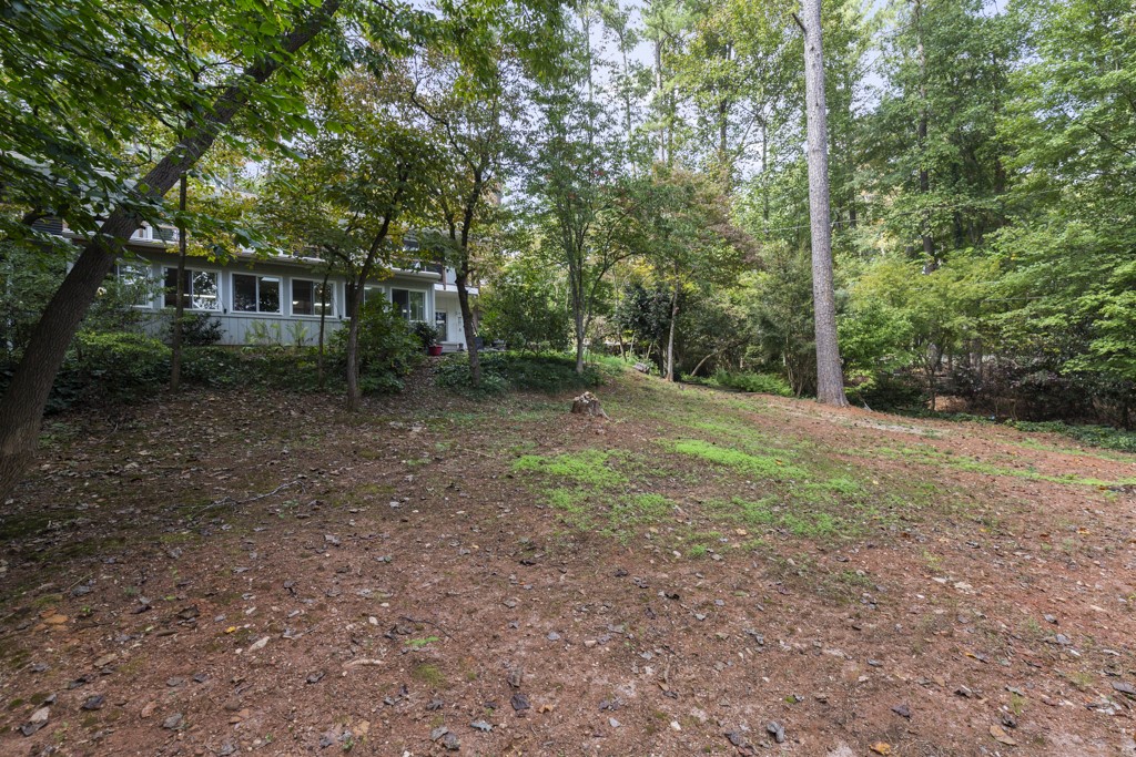 98 Daleview Circle Clemson, SC 29631 - Photo 40 of 47