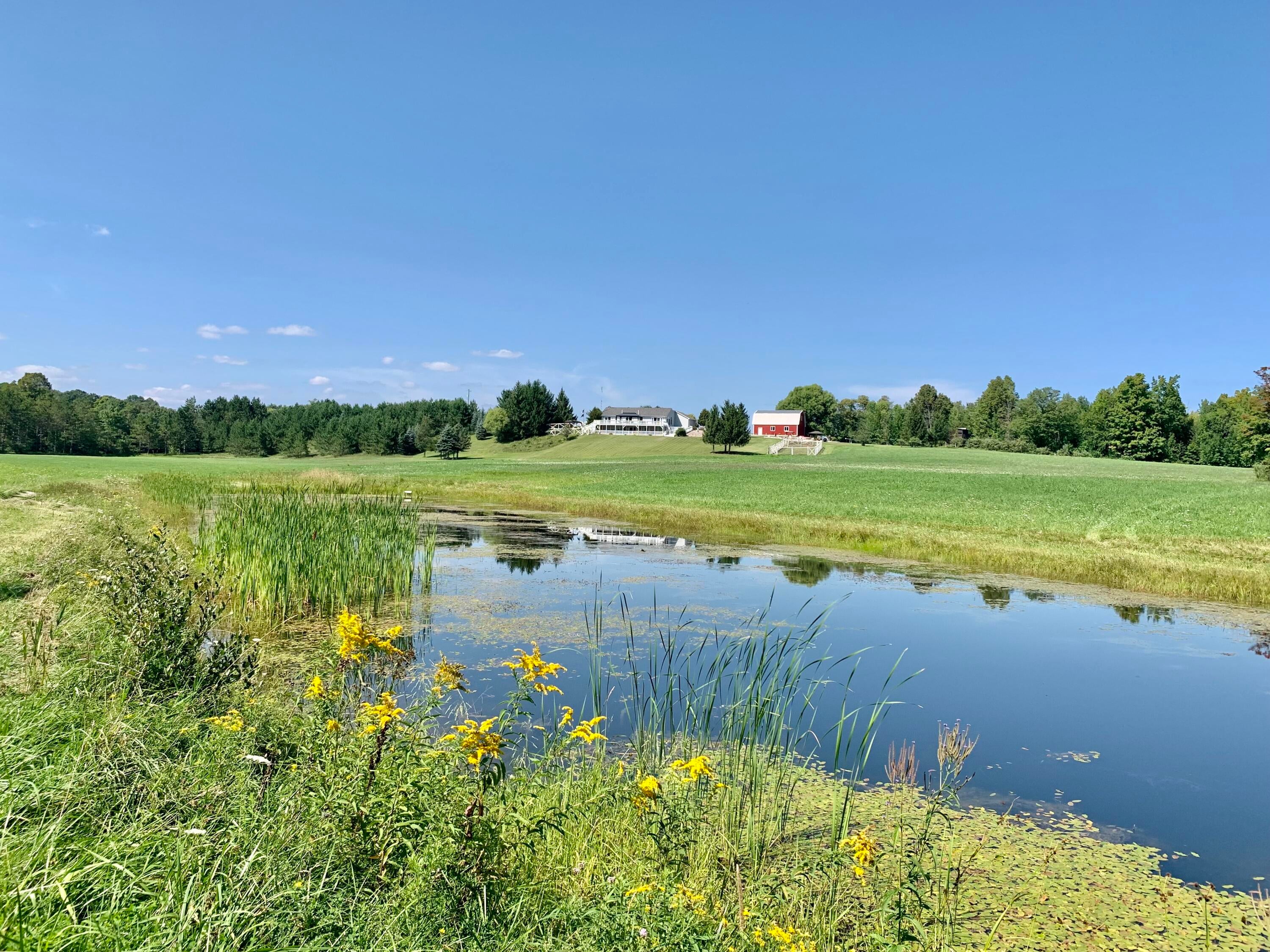 4631 South Branch Road South Branch, MI 48761 - Photo 10 of 63 Gallery Image 10