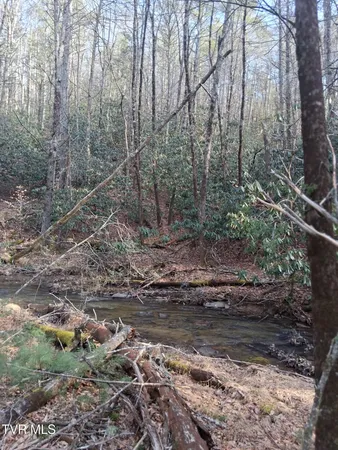 $130,000 | Tbd Gullion Fork Road, Unit 29 30, Wytheville, VA 24382