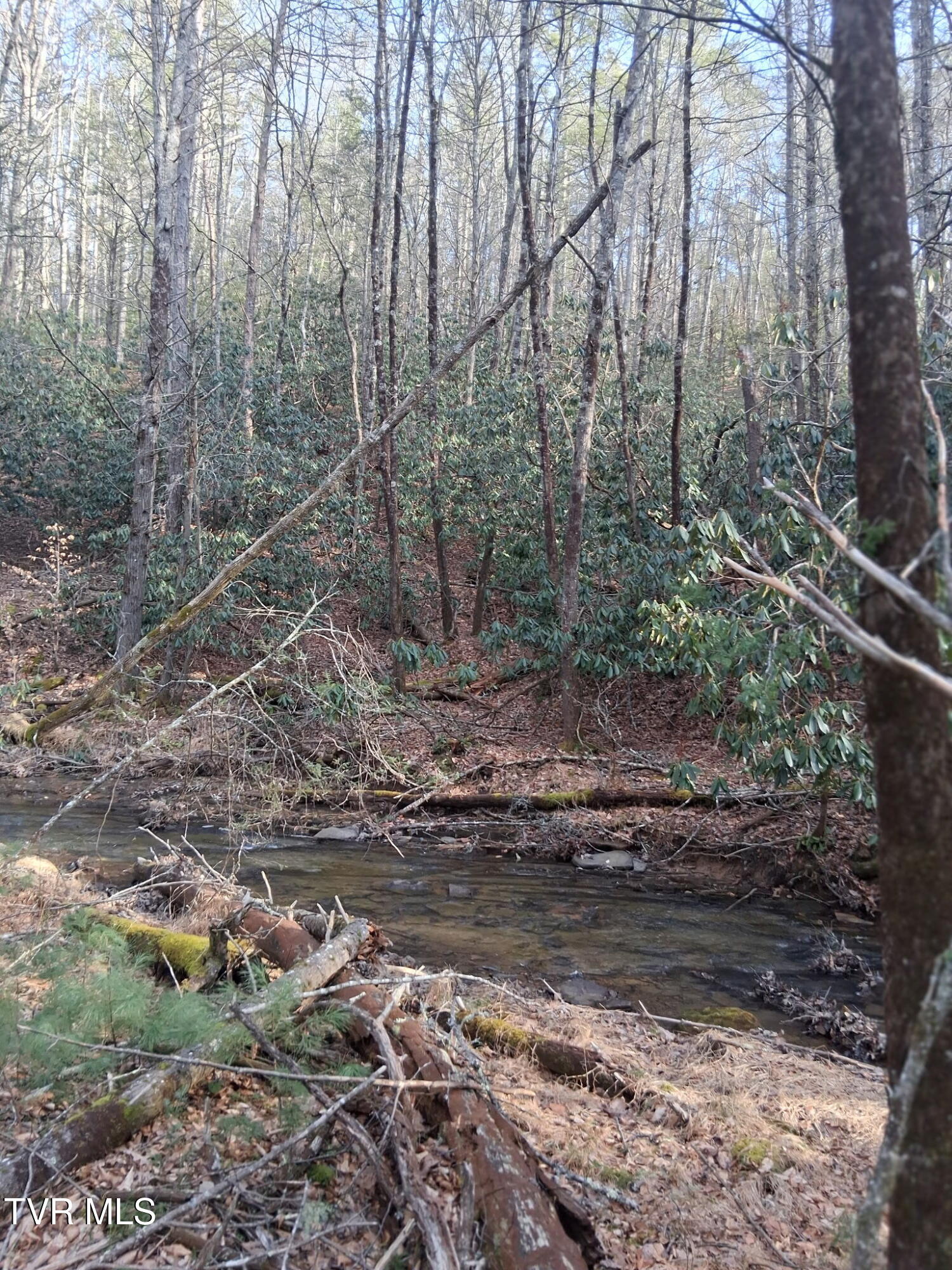 Tbd Gullion Fork Road, Unit 29 30 Wytheville, VA 24382 - Photo 2 of 6 3641141343503164758