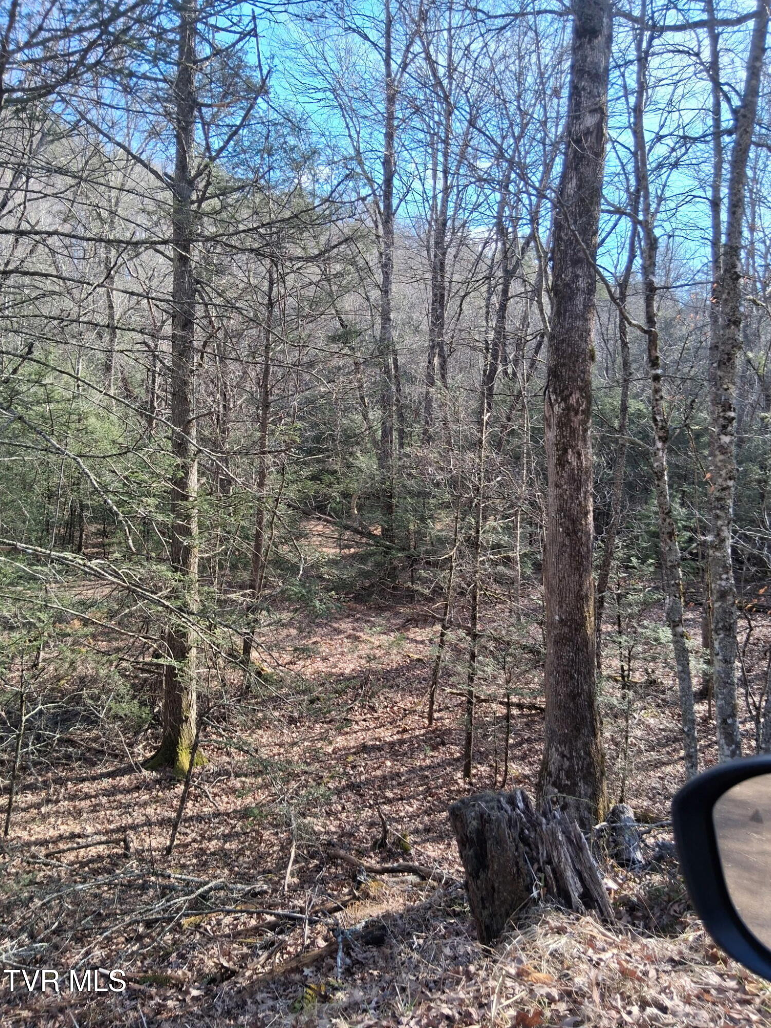Tbd Gullion Fork Road, Unit 29 30 Wytheville, VA 24382 - Photo 3 of 6 6363004040178661661