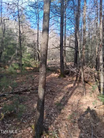 $130,000 | Tbd Gullion Fork Road, Unit 29 30, Wytheville, VA 24382