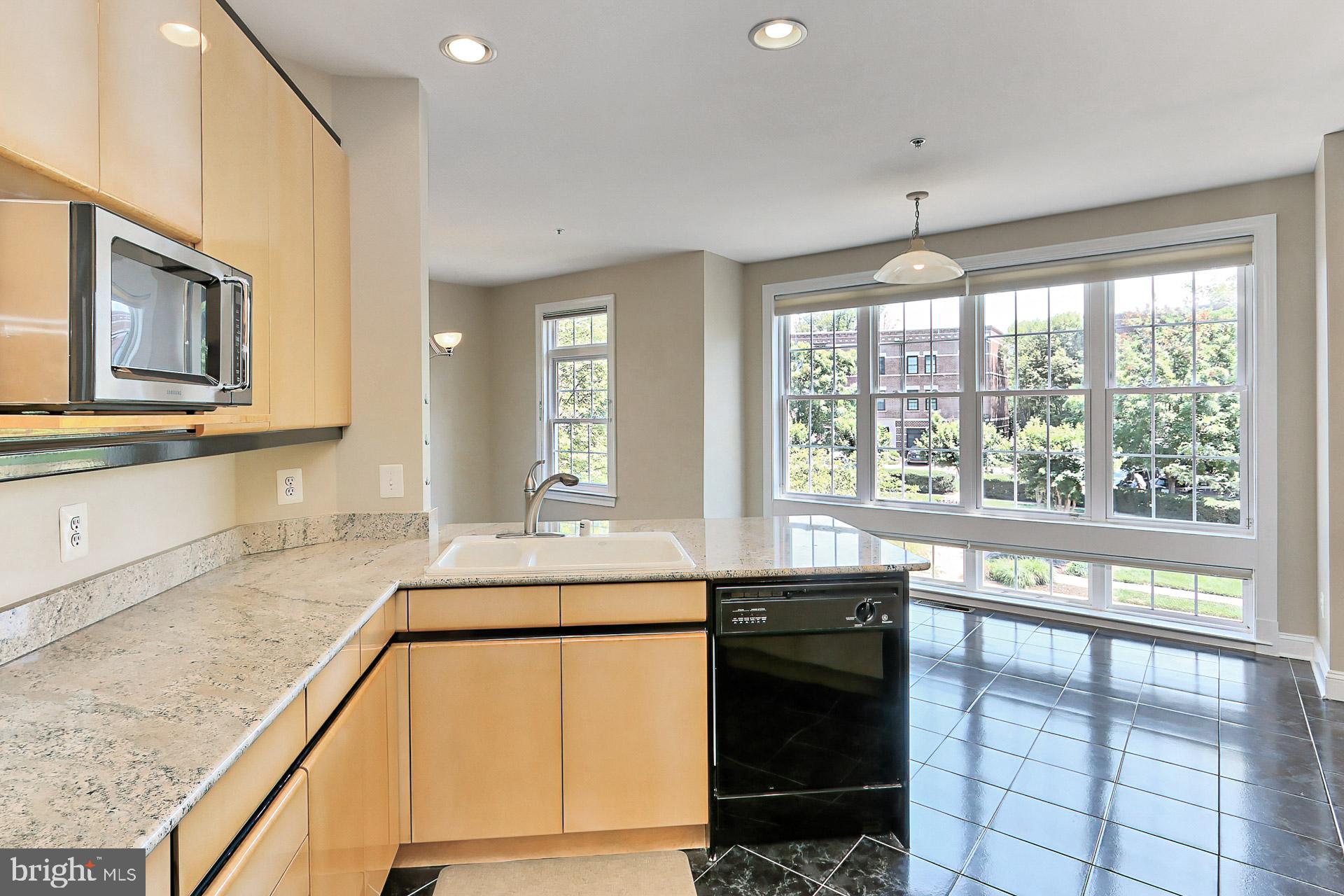 12131 Chancery Station Circle Reston, VA 20190 - Photo 20 of 66 Light filled extra large windows