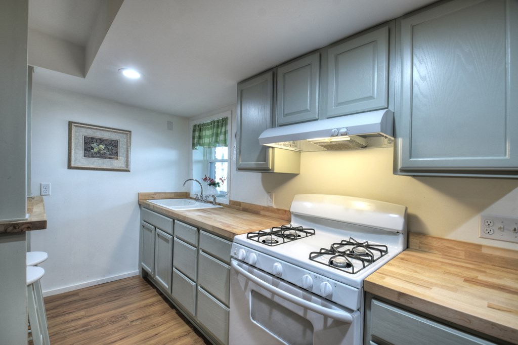 398 New Hope Road Ellijay, GA 30540 - Photo 41 of 70 Basement kitchen