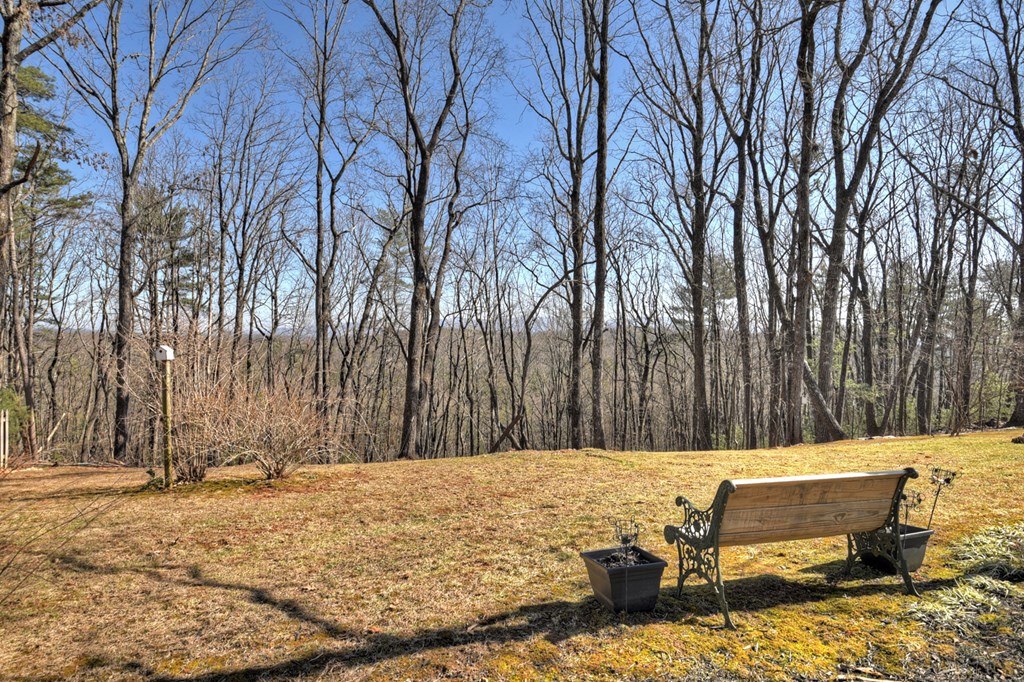 398 New Hope Road Ellijay, GA 30540 - Photo 54 of 70 Gallery Image 54
