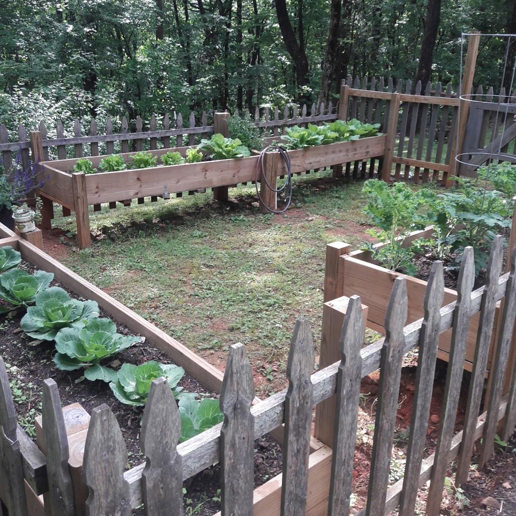 398 New Hope Road Ellijay, GA 30540 - Photo 64 of 70 Garden area in the summer