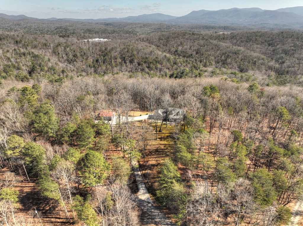 398 New Hope Road Ellijay, GA 30540 - Photo 68 of 70 Gallery Image 68