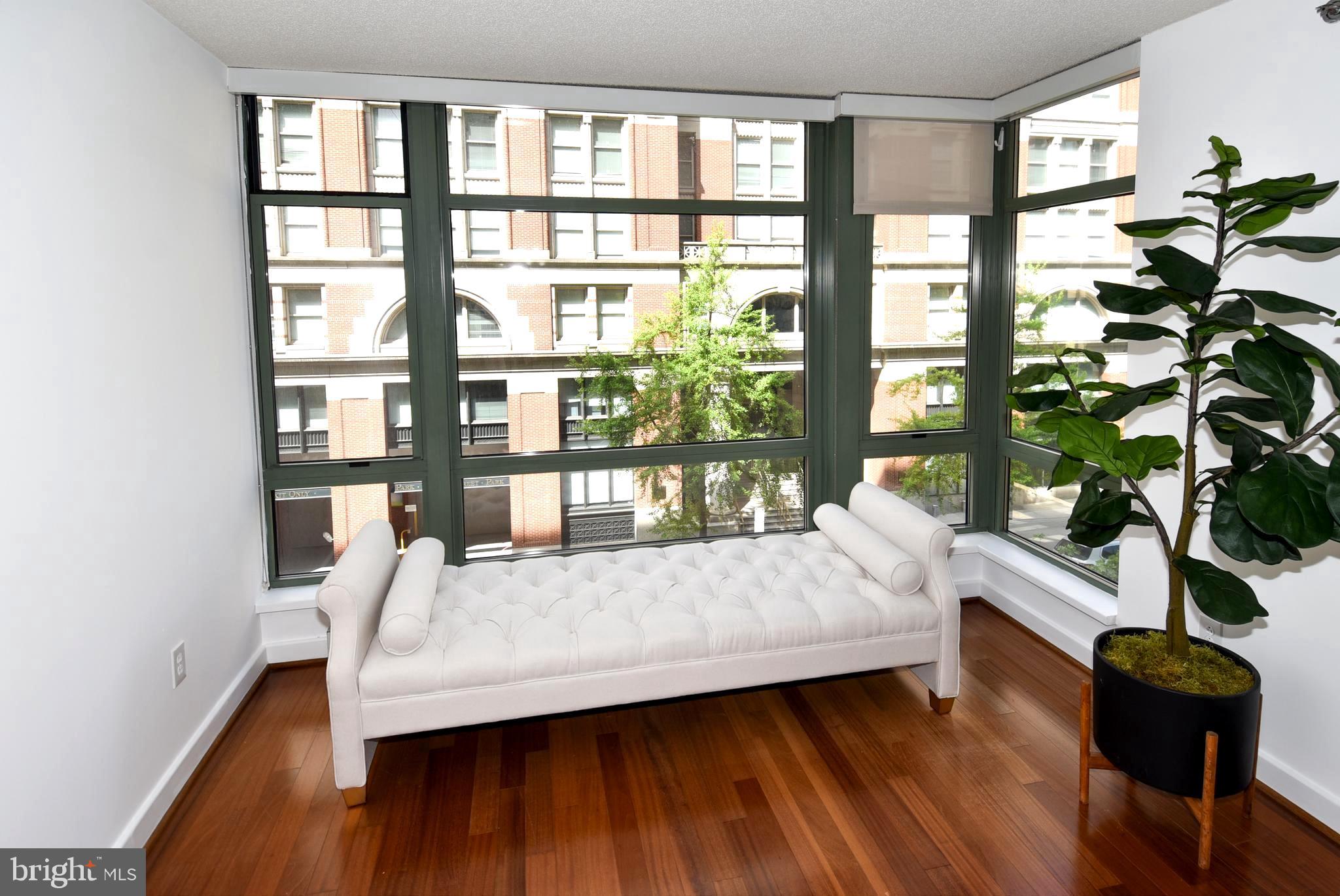 1150 K Street Northwest, Unit 408 Washington, DC 20005 - Photo 9 of 32 a living room with furniture and a potted plant