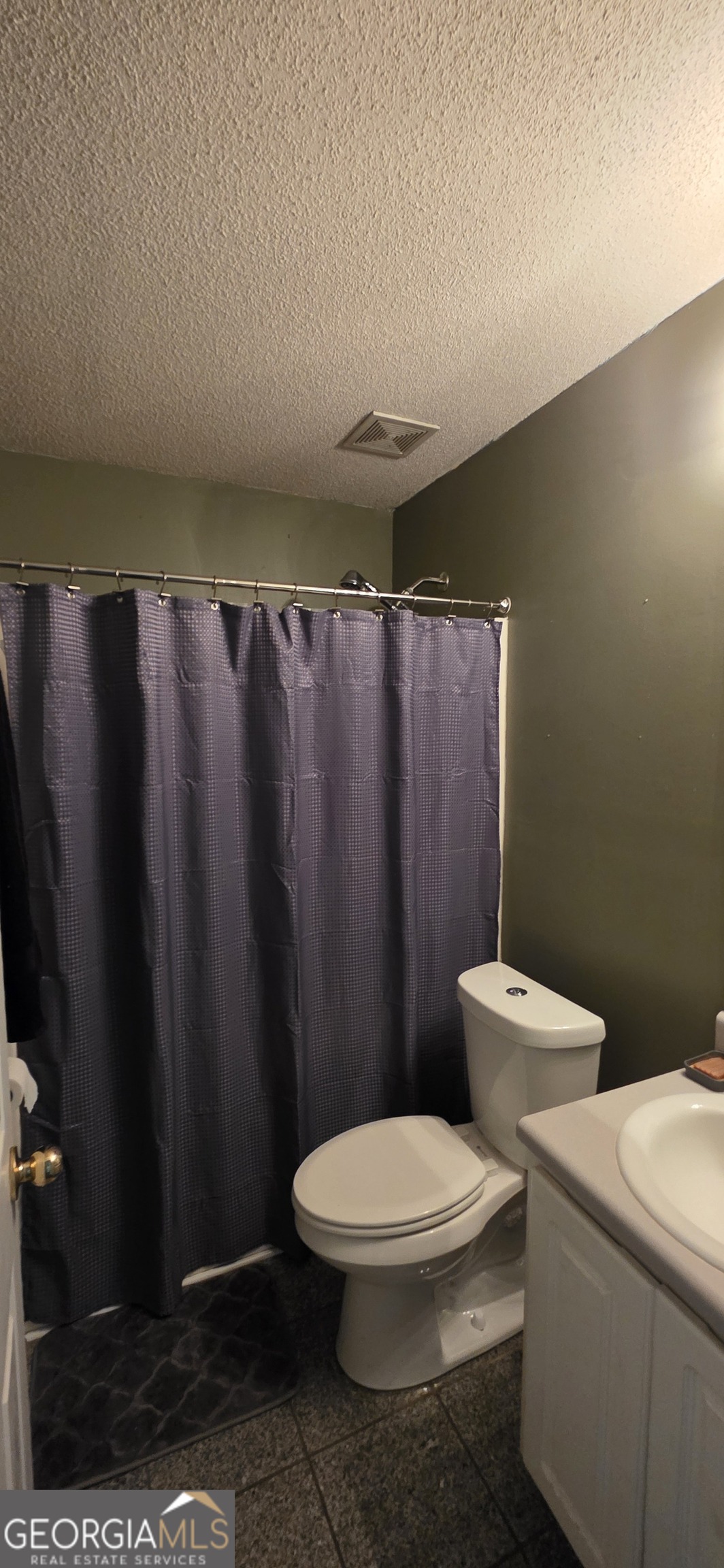 140 Villa Rosa Road Temple, GA 30179 - Photo 14 of 22 a white toilet sitting next to a shower curtain