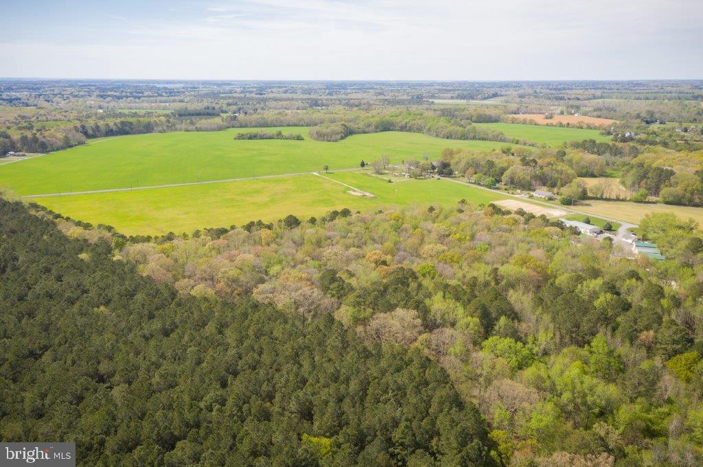 4502 Old Trappe Road Trappe, MD 21673 - Photo 14 of 25 a view of a field with an ocean beach