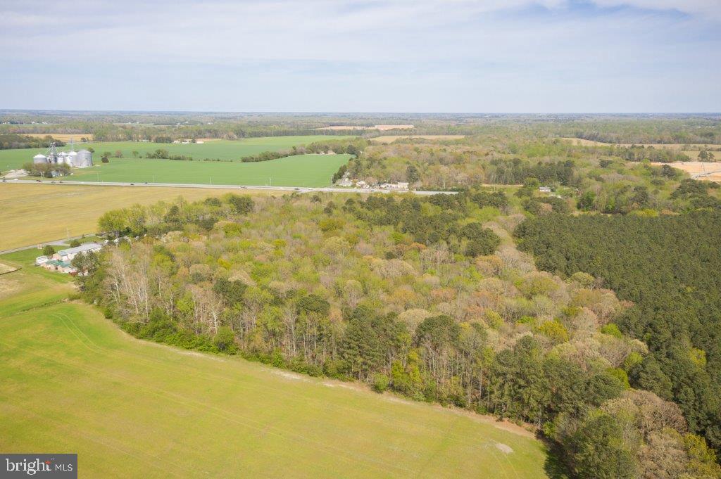 4502 Old Trappe Road Trappe, MD 21673 - Photo 24 of 25 a view of an ocean