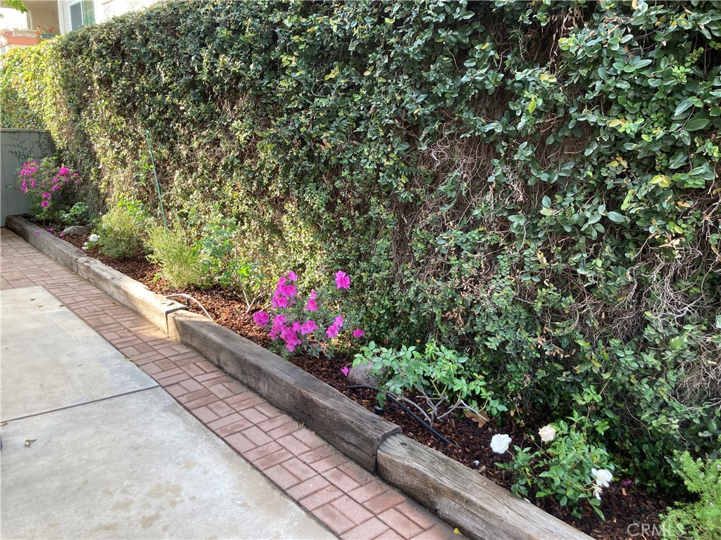 2447 Oneida Street, Unit 2 Pasadena, CA 91107 - Photo 26 of 56 Rear-side yard-patio flowerbed