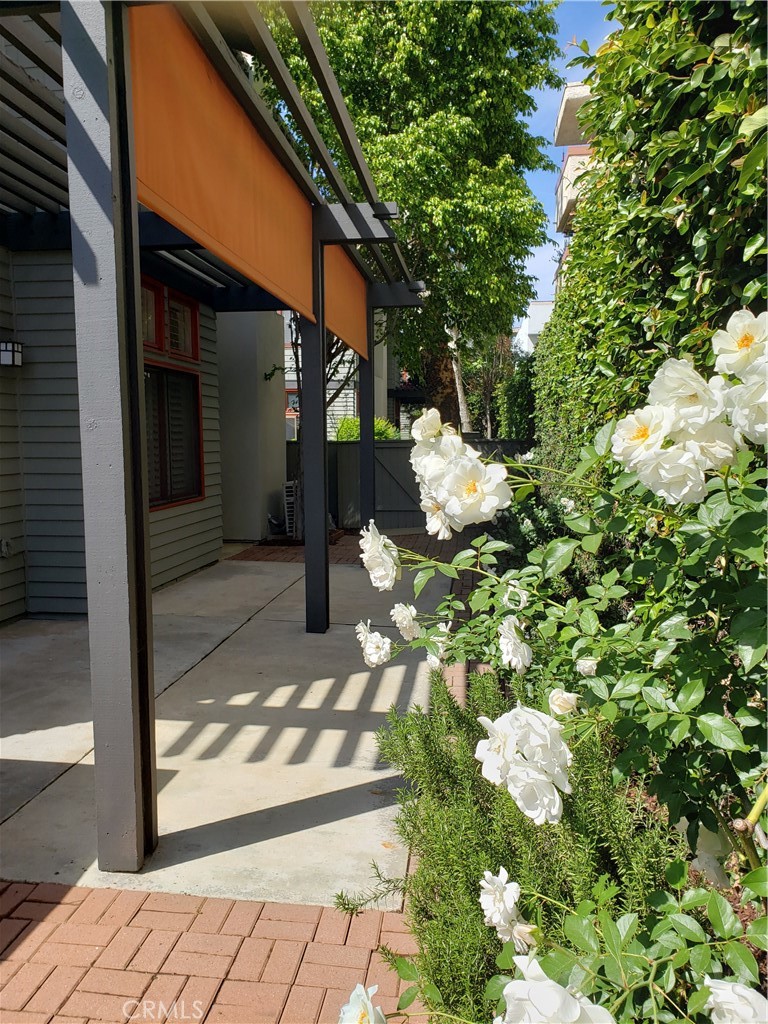 2447 Oneida Street, Unit 2 Pasadena, CA 91107 - Photo 27 of 56 View towards Pergola