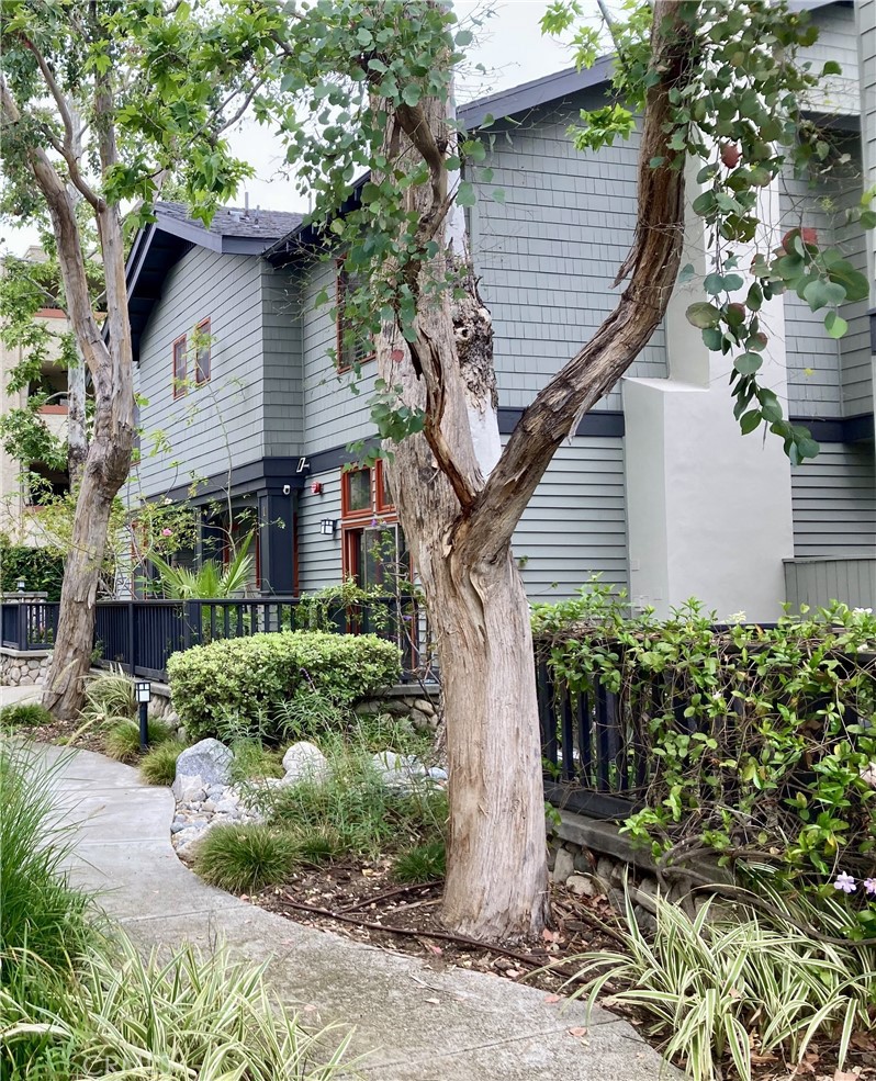 2447 Oneida Street, Unit 2 Pasadena, CA 91107 - Photo 4 of 56 View of common walkway towards 2447 #2
