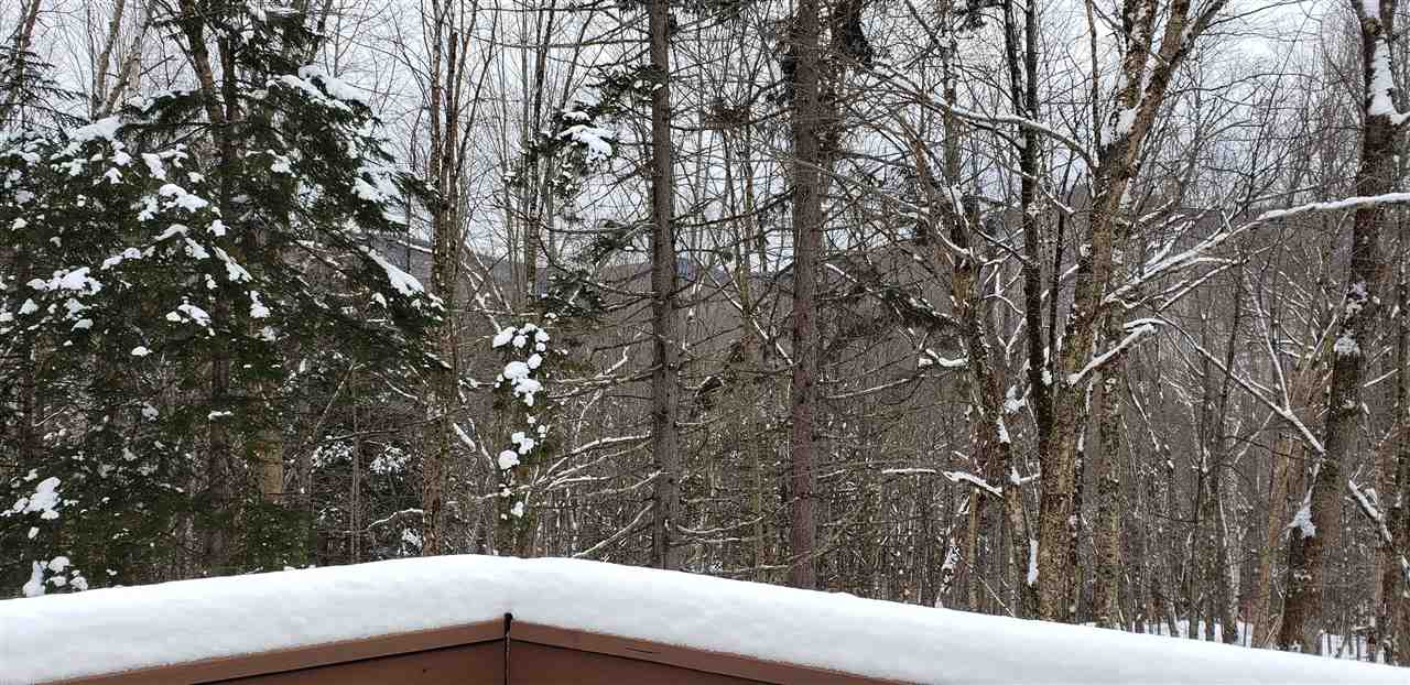 427 Lookout Road Pittsfield, VT 05762 - Photo 16 of 16