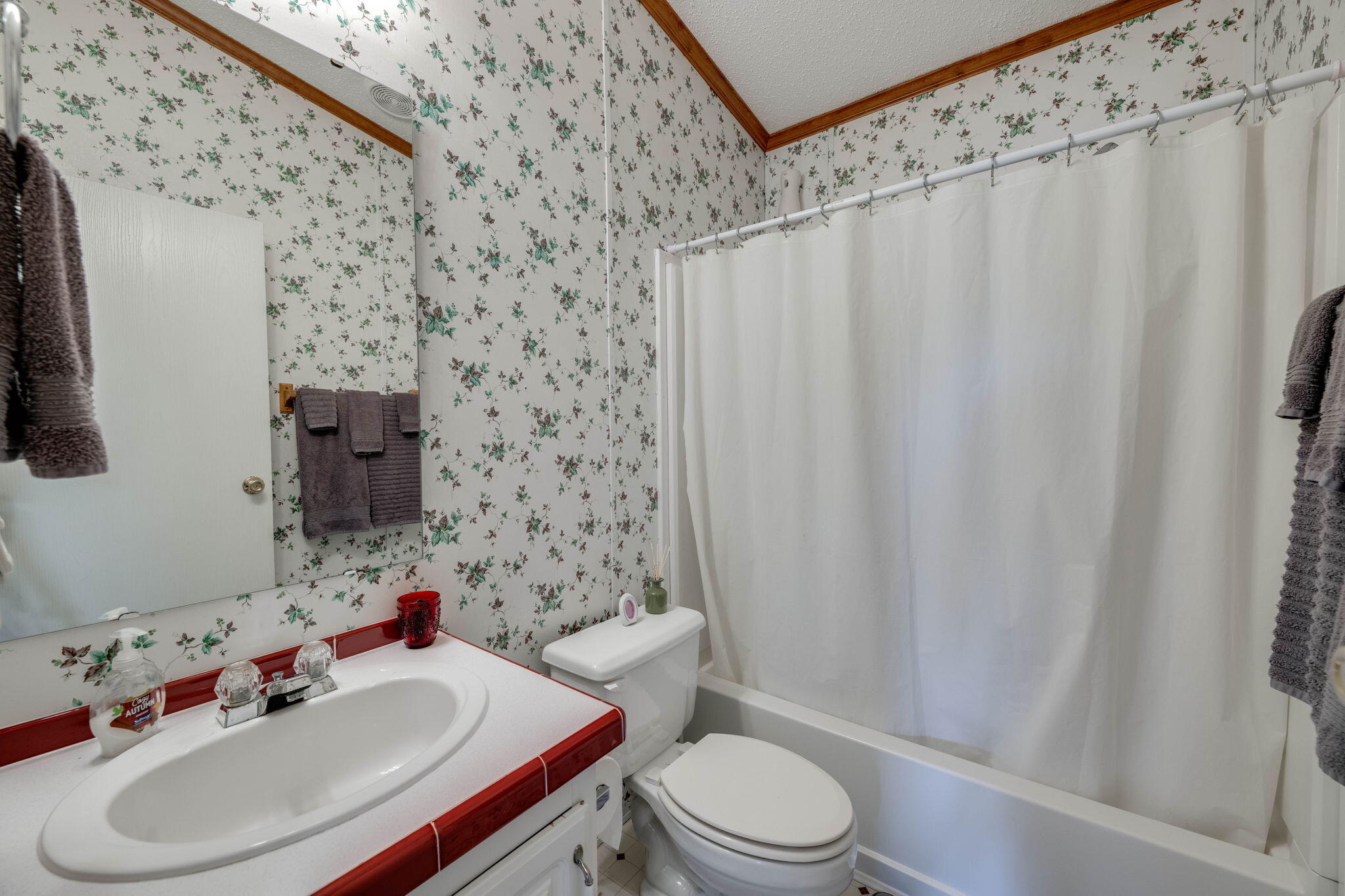 482 Hiwassee Drive Decatur, TN 37322 - Photo 29 of 41 22-web-or-mls-_DSC5155-52