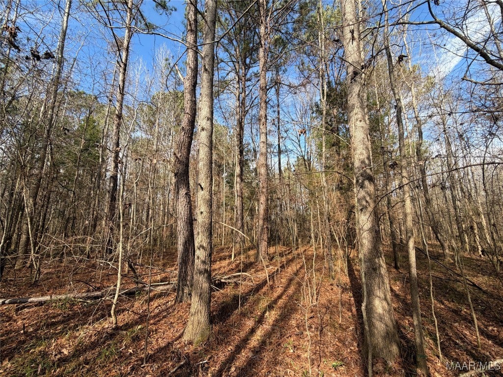 31 Highway Letohatchee Al Letohatchee, AL 36047 - Photo 12 of 23 Gallery Image 12