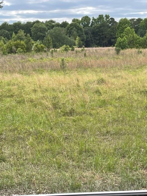 1029 Gator Lake Road Manning, SC 29102 - Photo 1 of 4 Gallery Image 1