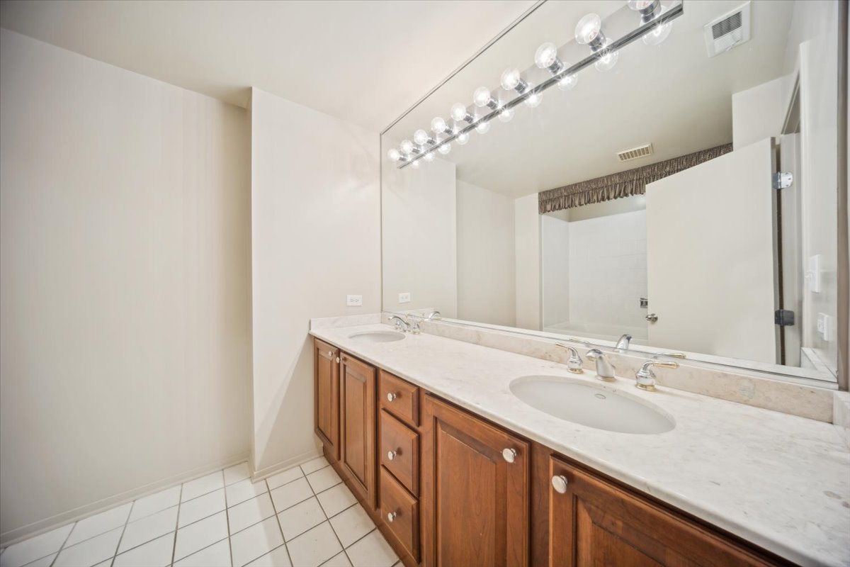 811 South Lytle Street, Unit 101 Chicago, IL 60607 - Photo 19 of 23 a bathroom with a sink double vanity and a mirror