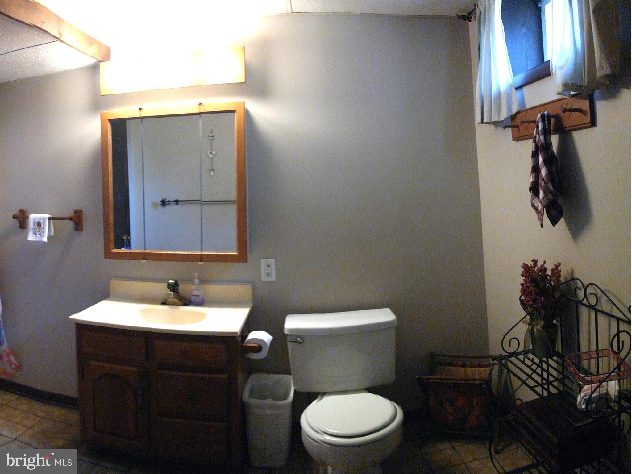 1312 High Ridge Drive Westminster, MD 21157 - Photo 23 of 28 Full Bath in Basement