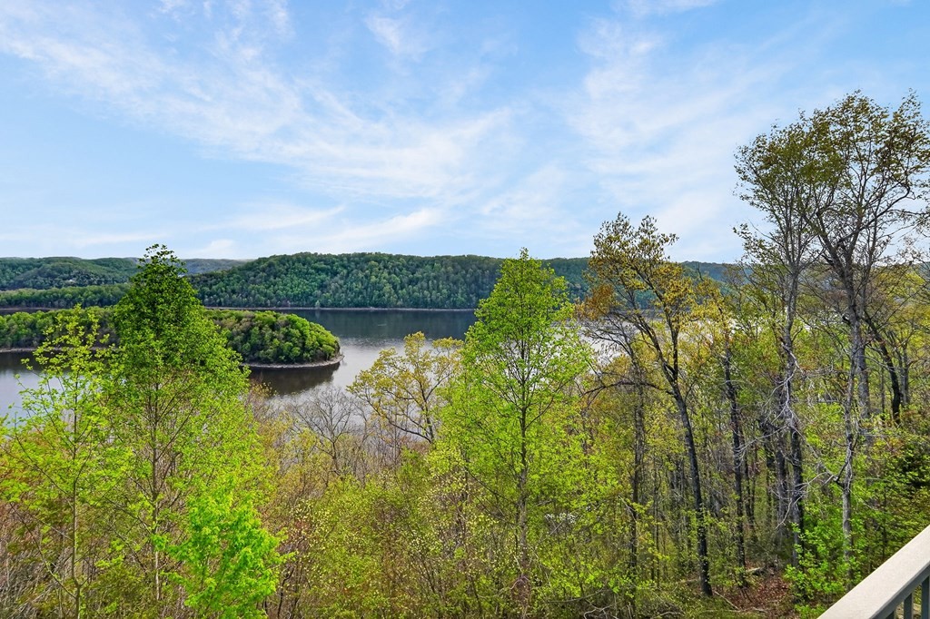 1853 Lafever Ridge Road Silver Point, TN 38582 - Photo 55 of 83