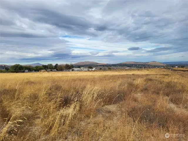 a view of a lake with houses in the back