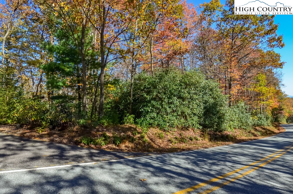 Lot 4 Little Laurel Road Boone, NC 28607 - Photo 2 of 3 Gallery Image 2