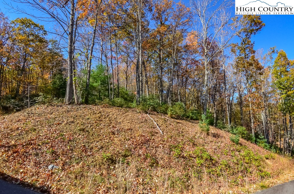 Lot 4 Little Laurel Road Boone, NC 28607 - Photo 3 of 3 Gallery Image 3