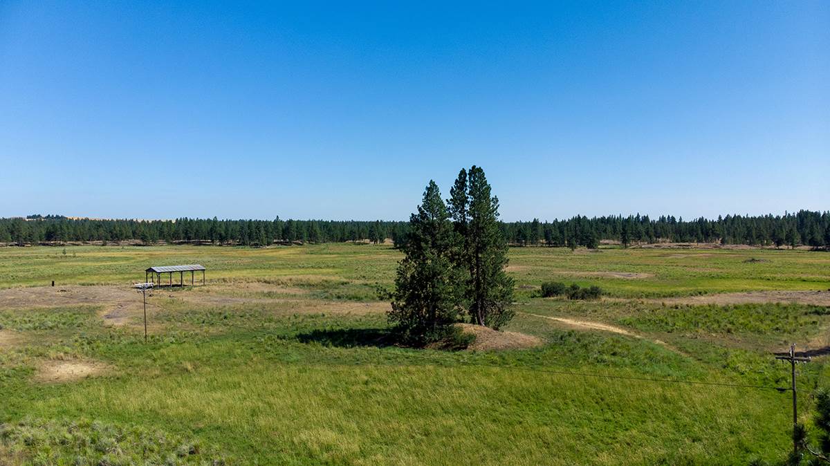 176-xx South Brooks Road Cheney, WA 99004 - Photo 3 of 7 Gallery Image 3