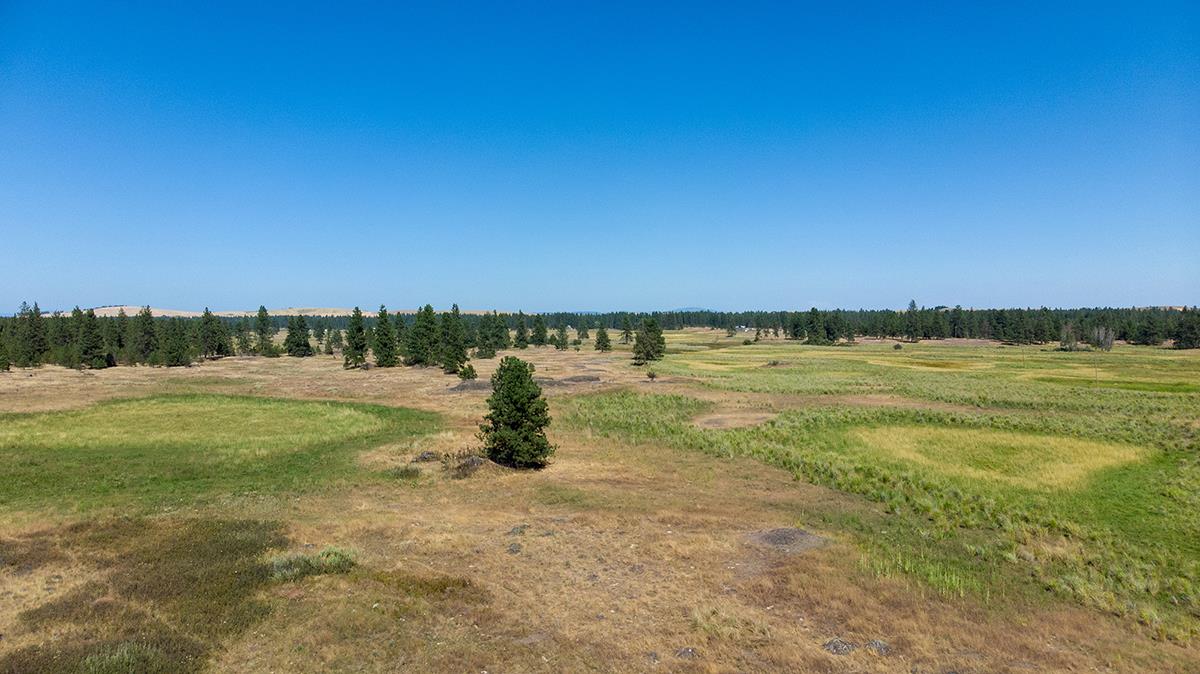 176-xx South Brooks Road Cheney, WA 99004 - Photo 5 of 7 Gallery Image 5