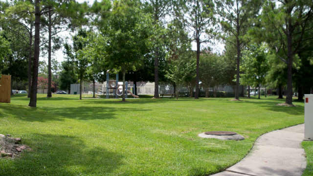 1215 Mabry Mill Road Houston, TX 77062 - Photo 16 of 16 neighborhood pool and park across from house