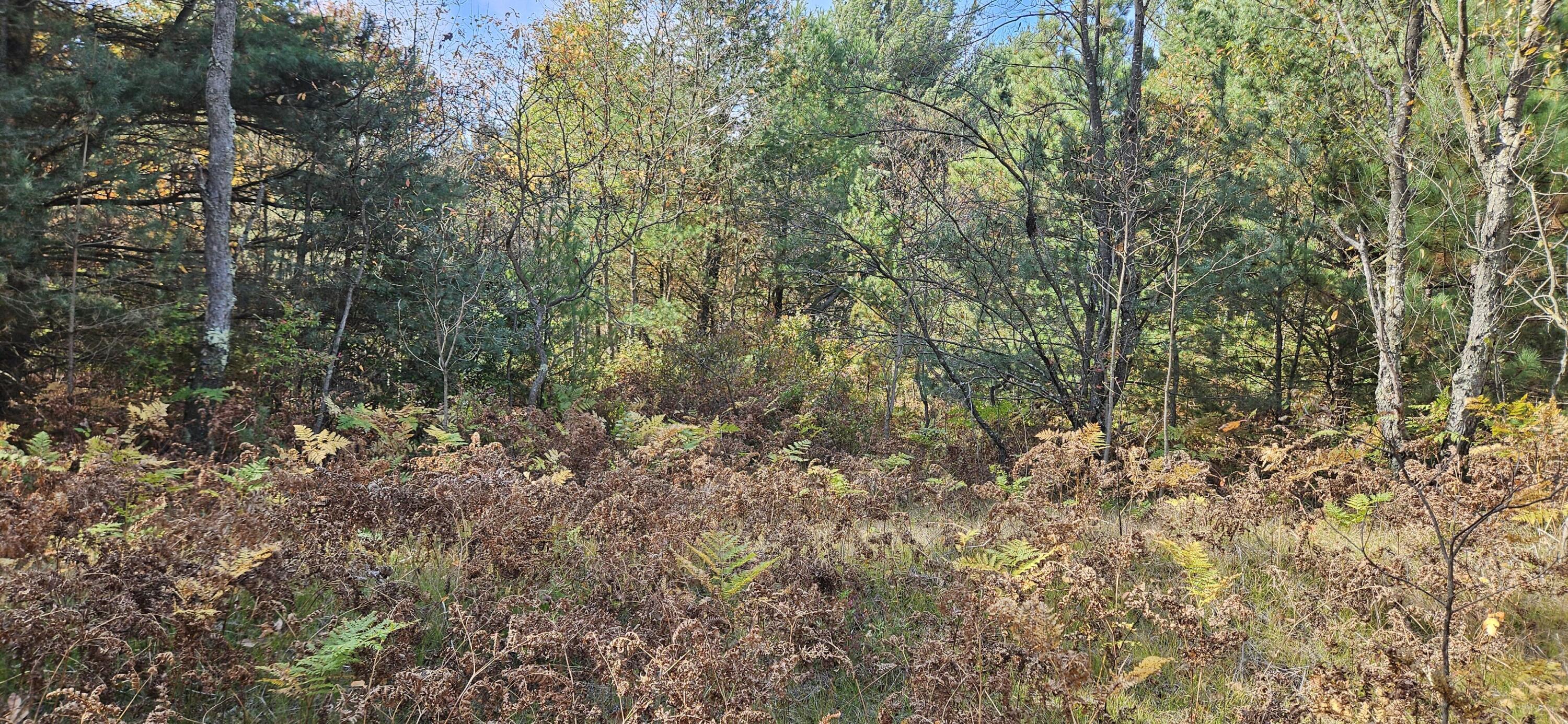 1100 East Bard Road Muskegon, MI 49445 - Photo 12 of 22 beyc693480d623997
