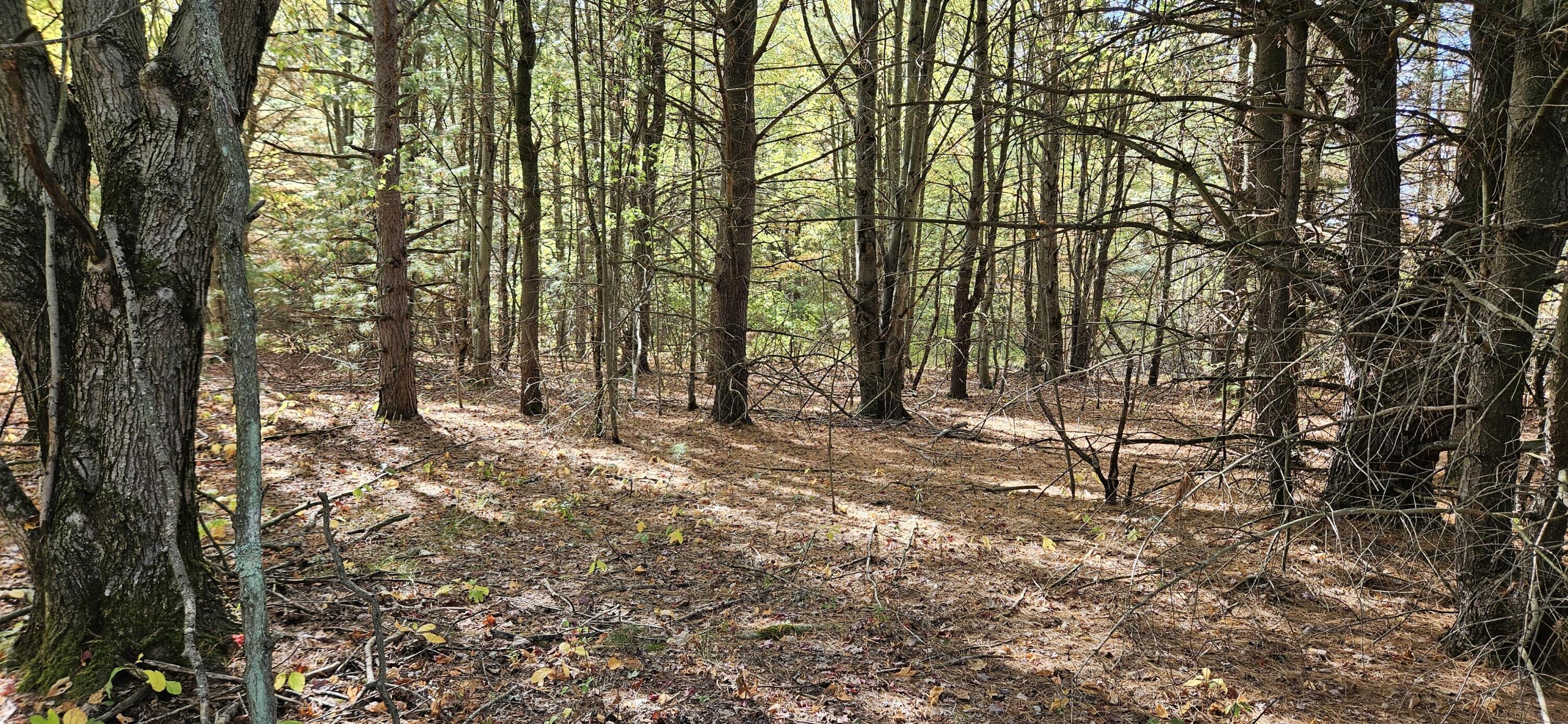 1100 East Bard Road Muskegon, MI 49445 - Photo 14 of 22 beyc693480e7a7e3a