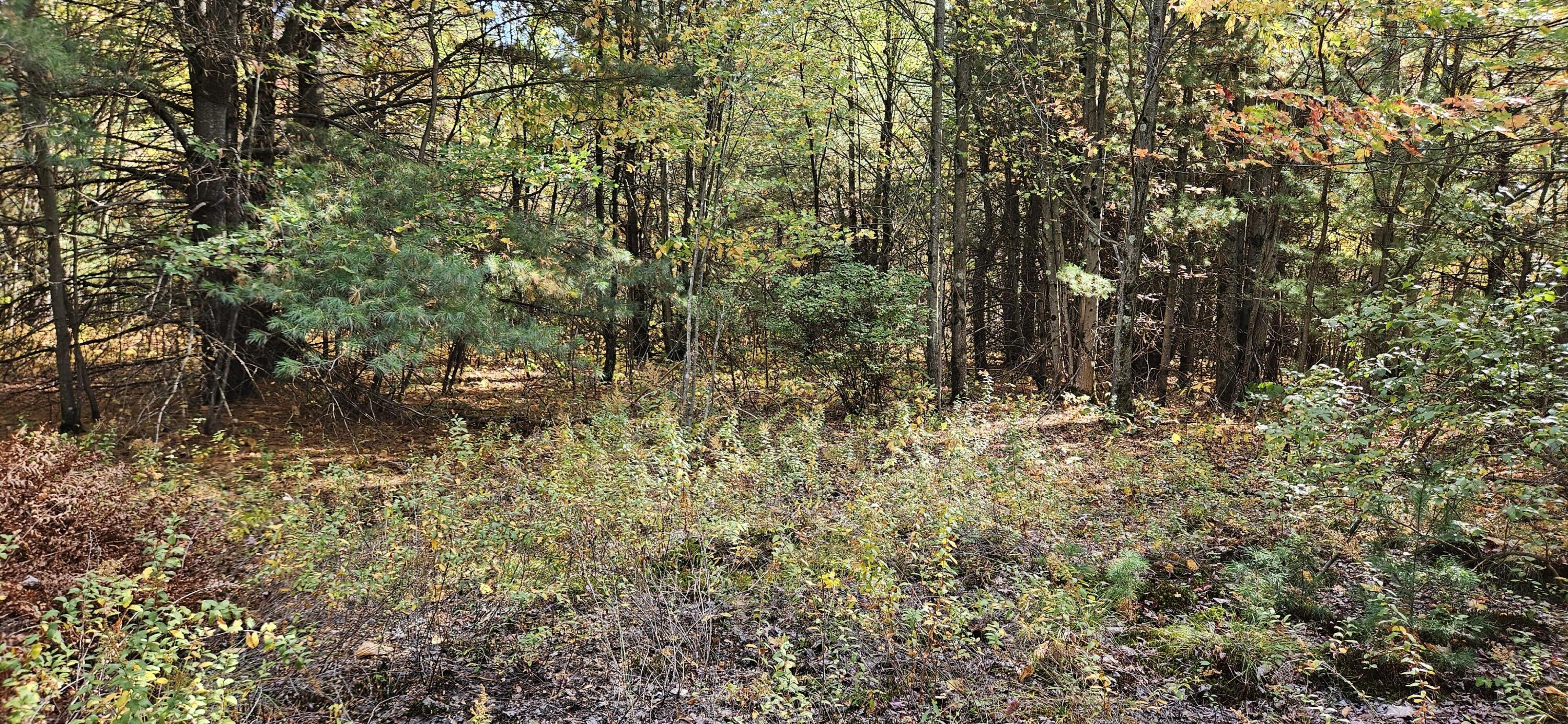 1100 East Bard Road Muskegon, MI 49445 - Photo 21 of 22 beyc6934810abb451