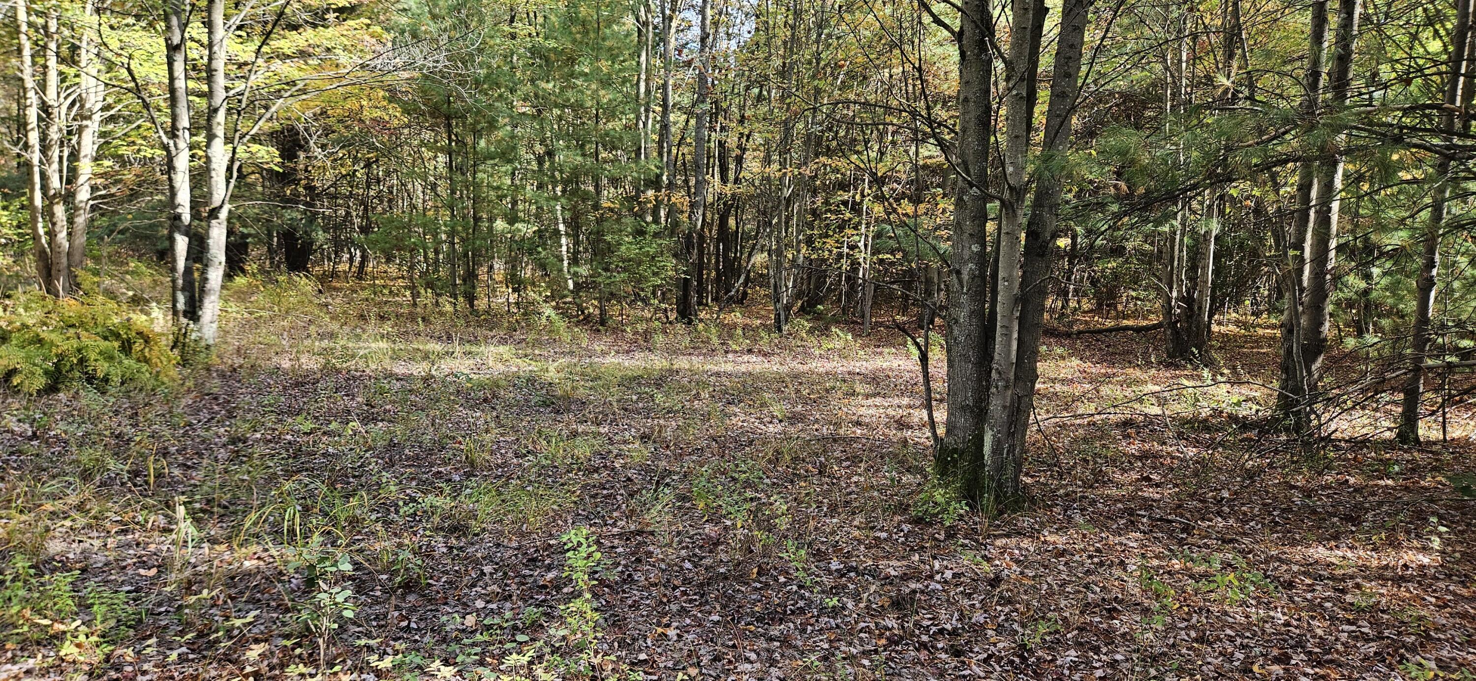 1100 East Bard Road Muskegon, MI 49445 - Photo 22 of 22 beyc6934810b3d2a8