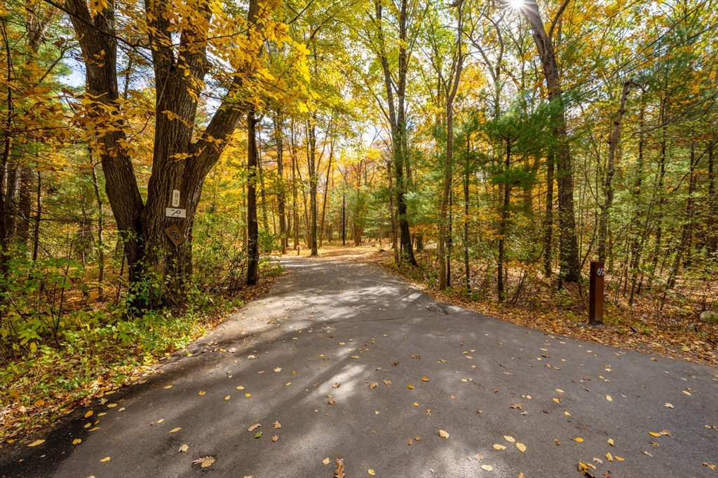 69 Page Road Lincoln, MA 01773 - Photo 12 of 13 a view of backyard with tree